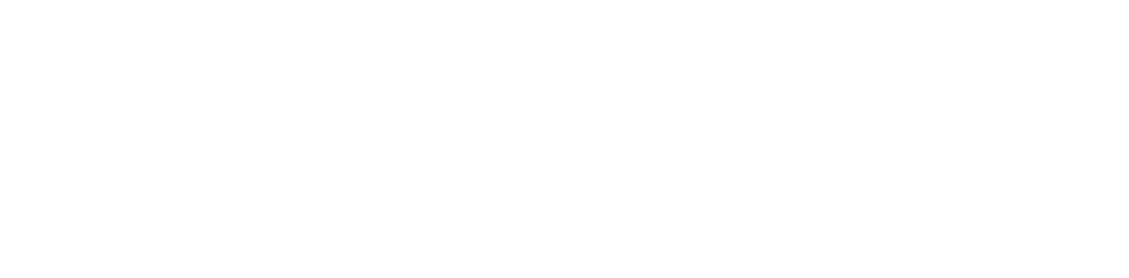 Staarken Infosec Logo
